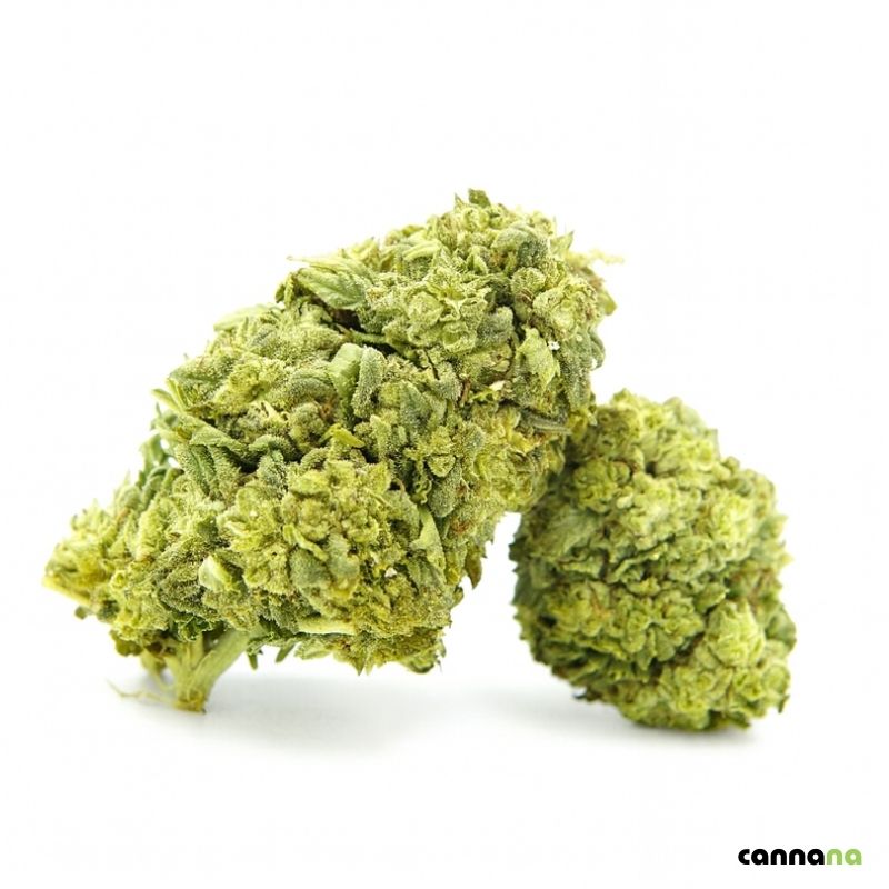 Frosted Cookies Superior 55 % ❄️🍪